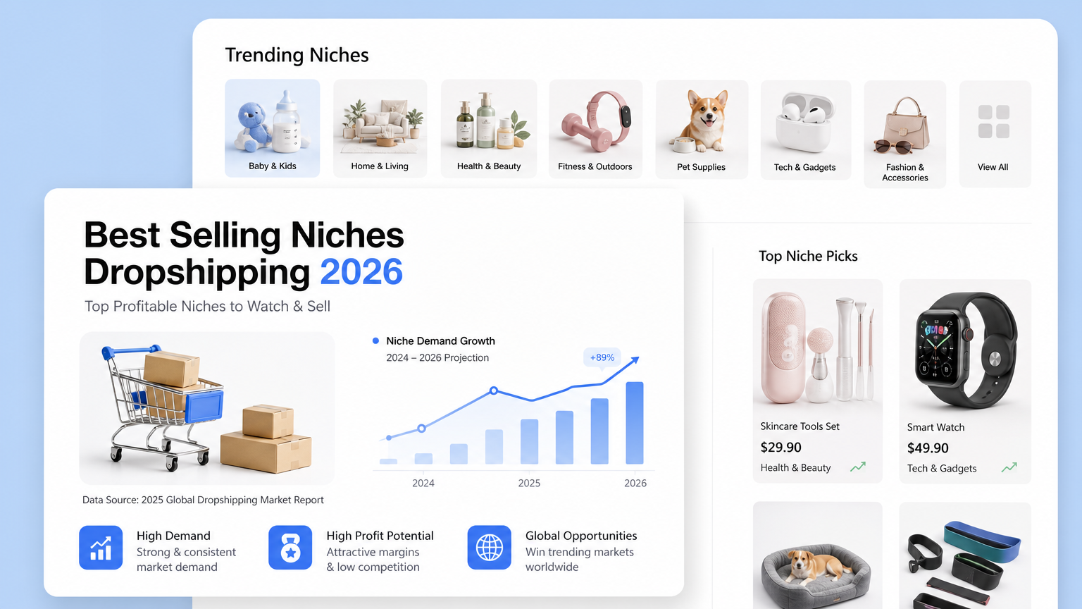 Best Selling Niches Dropshipping